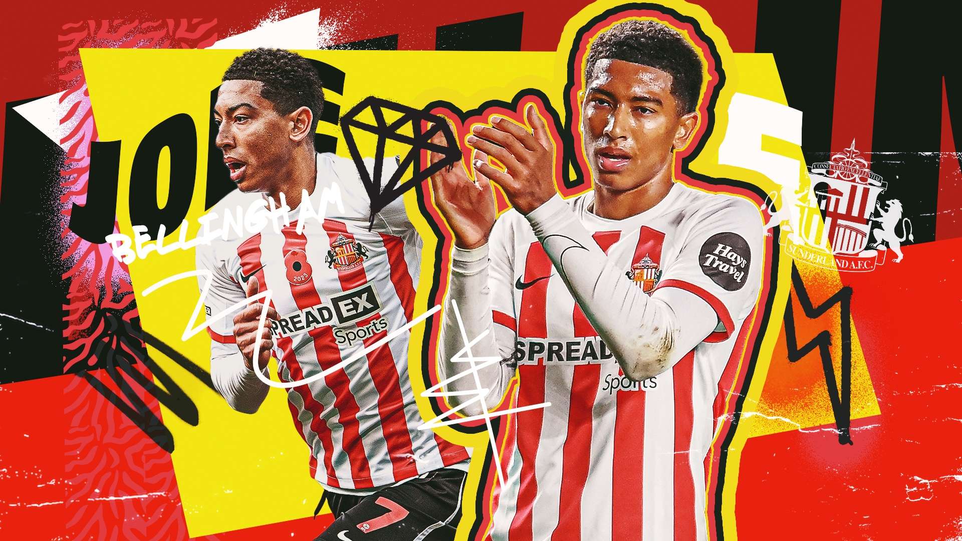 大利铁卫的 大利铁卫的